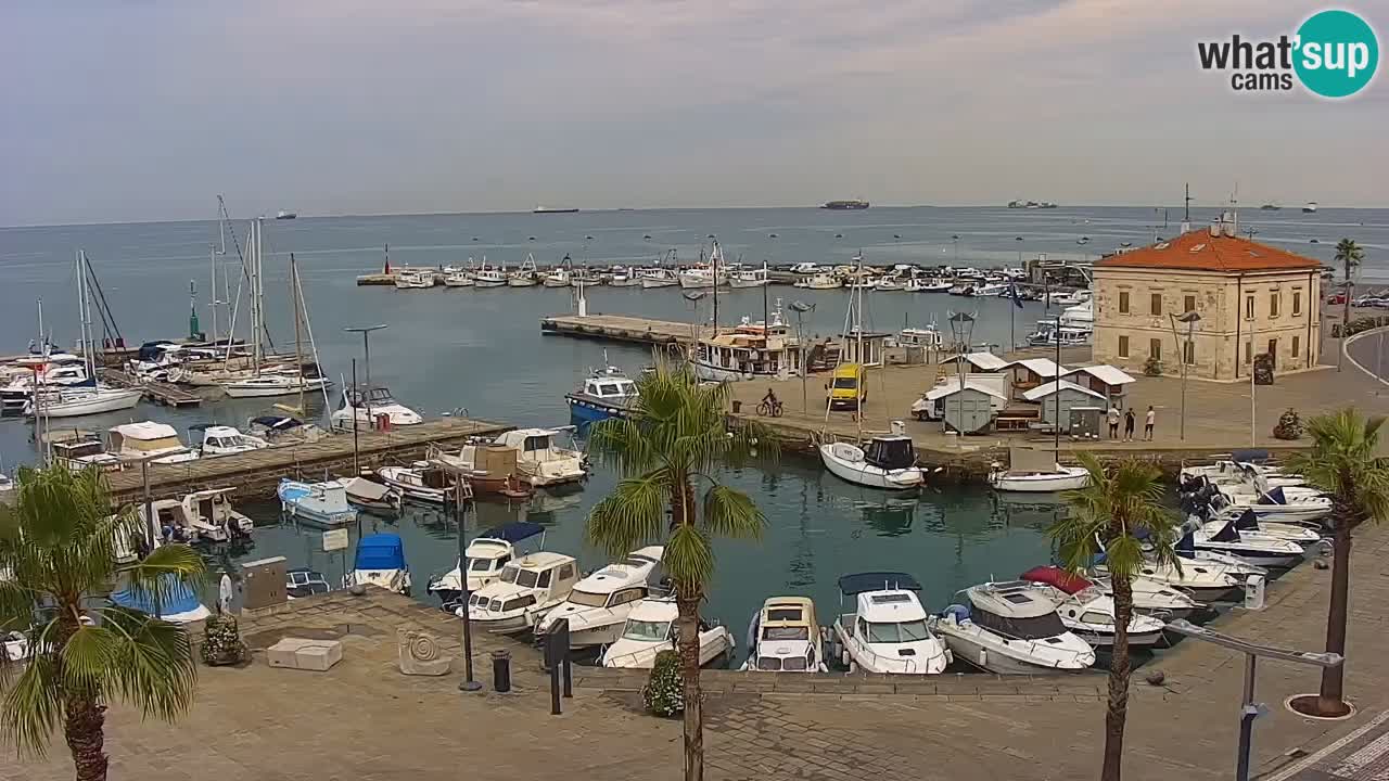 Spletna kamera Koper – Panorama na marino in promenado s Hotela Grand Koper