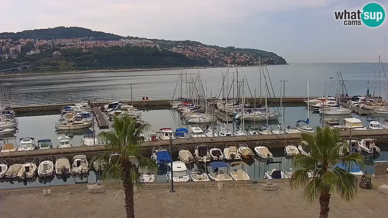Webcam Koper – Panorama des Jachthafens und der Promenade vom Hotel Grand Koper