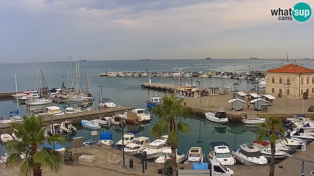Webcam en direct du port de Koper – port de croisière et de fret – Slovénie