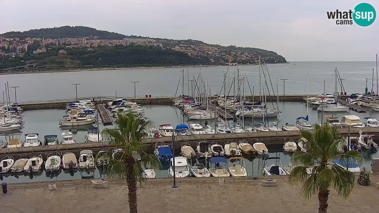 Webcam Koper – Ukmarjev trg