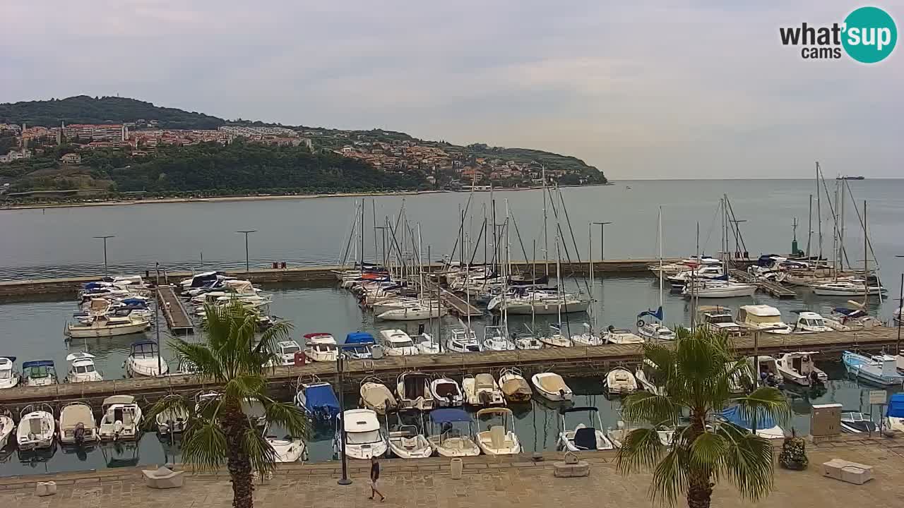 Spletna kamera Koper – Panorama na marino in promenado s Hotela Grand Koper