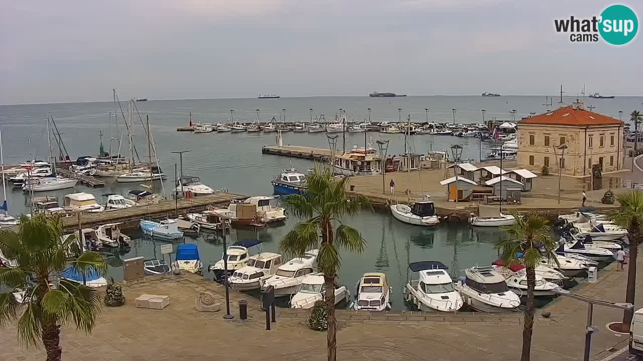 Camera en vivo Koper – puerto deportivo y paseo marítimo desde el Hotel Grand Koper