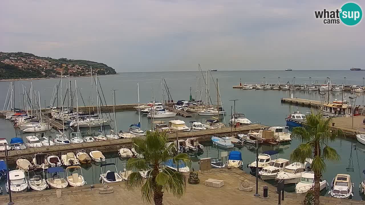 Webcam en direct du port de Koper – port de croisière et de fret – Slovénie