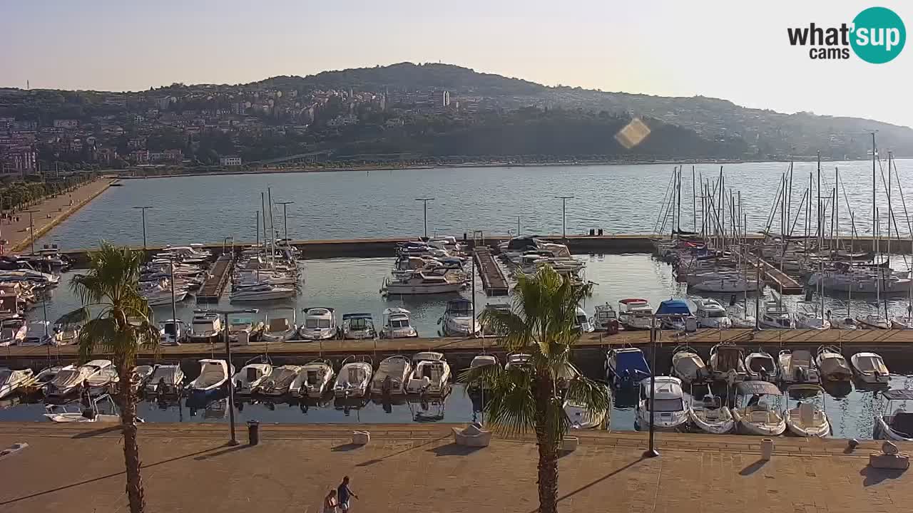 Der Hafen von Koper Live-Webcam – Kreuzfahrt- und Frachthafen – Slowenien