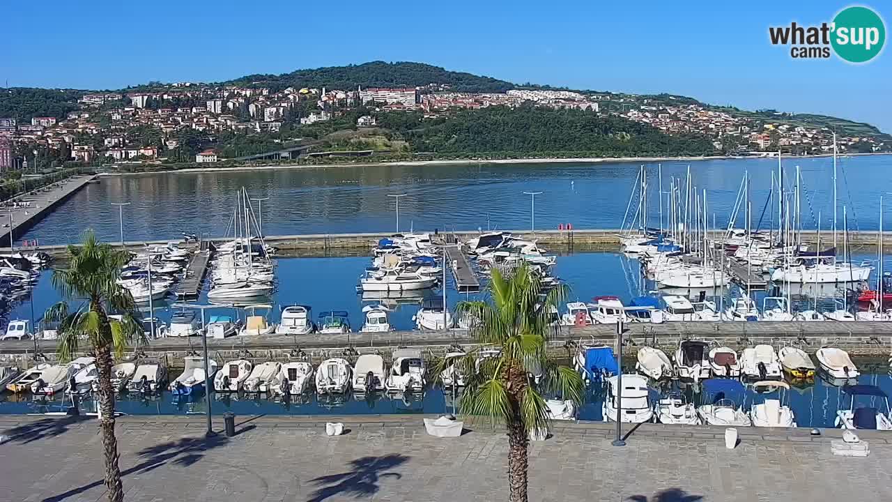 Spletna kamera Koper – Panorama na marino in promenado s Hotela Grand Koper