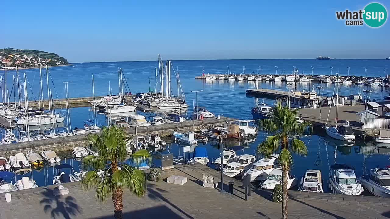 Luka Kopar uživo web kamera – Turistički terminal i teretna luka – Slovenija