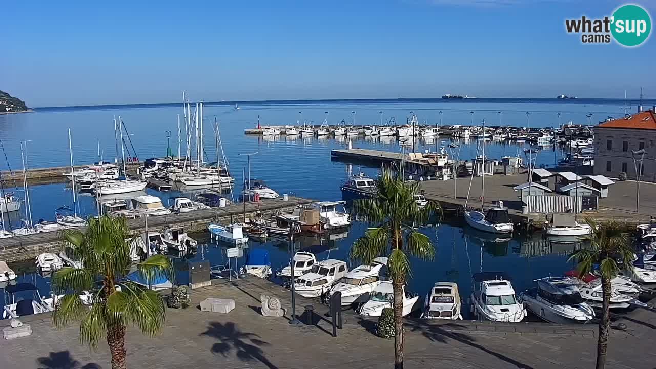 The Port of Koper live webcam – cruise and cargo port – Slovenia