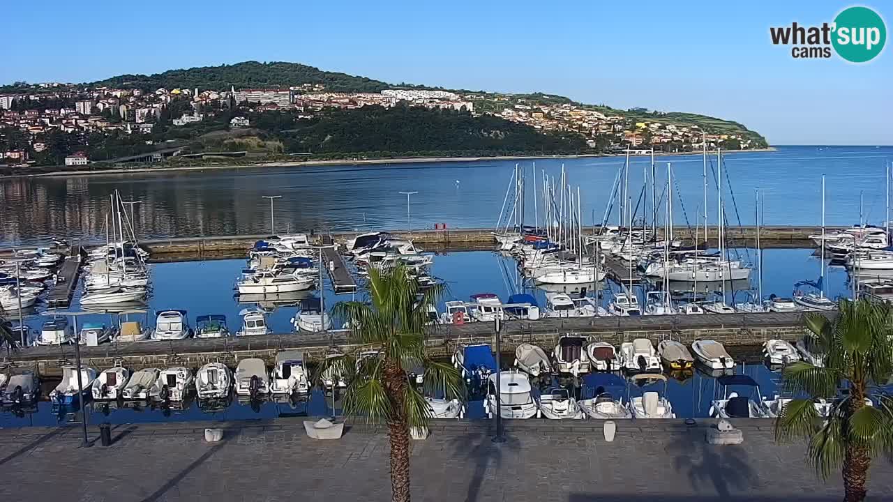 Spletna kamera Koper – Panorama na marino in promenado s Hotela Grand Koper