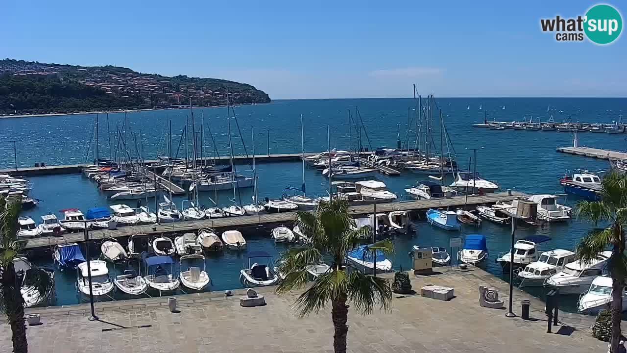 Web kamera Koper – marina i promenada – hotel Grand Koper