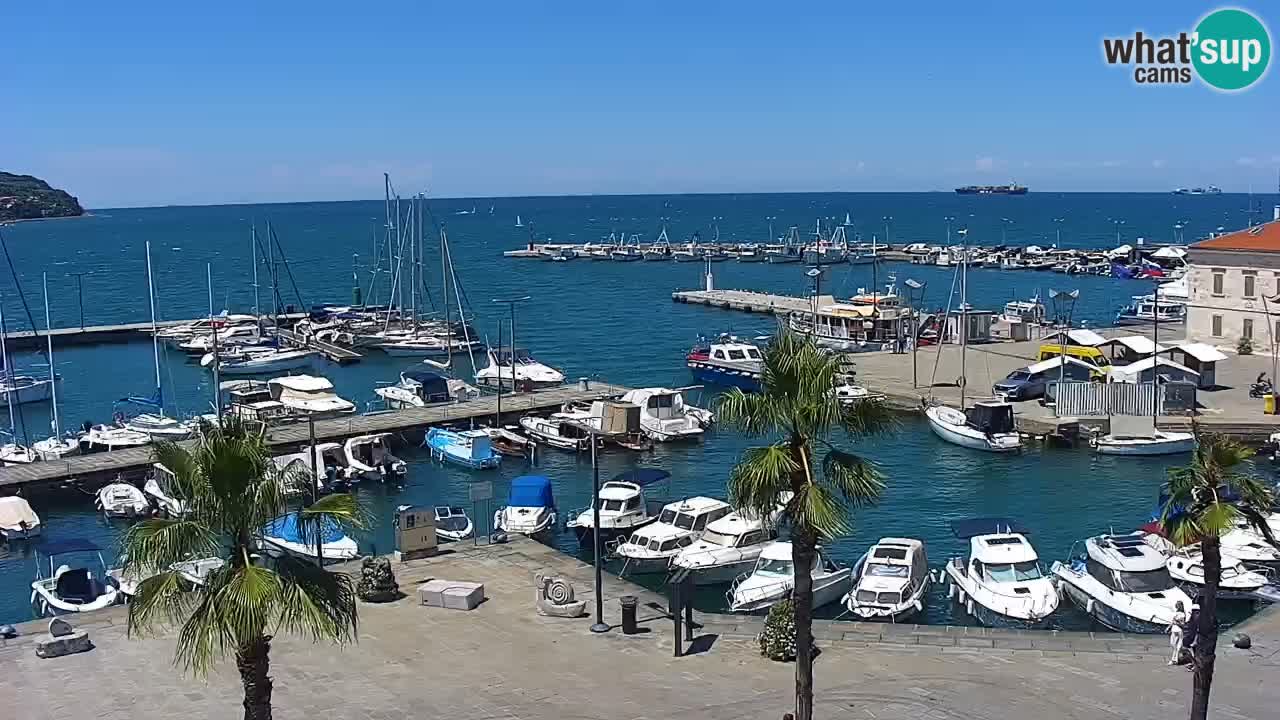 Webcam Koper – Panorama de la marina et de la promenade depuis le Grand Hotel Koper