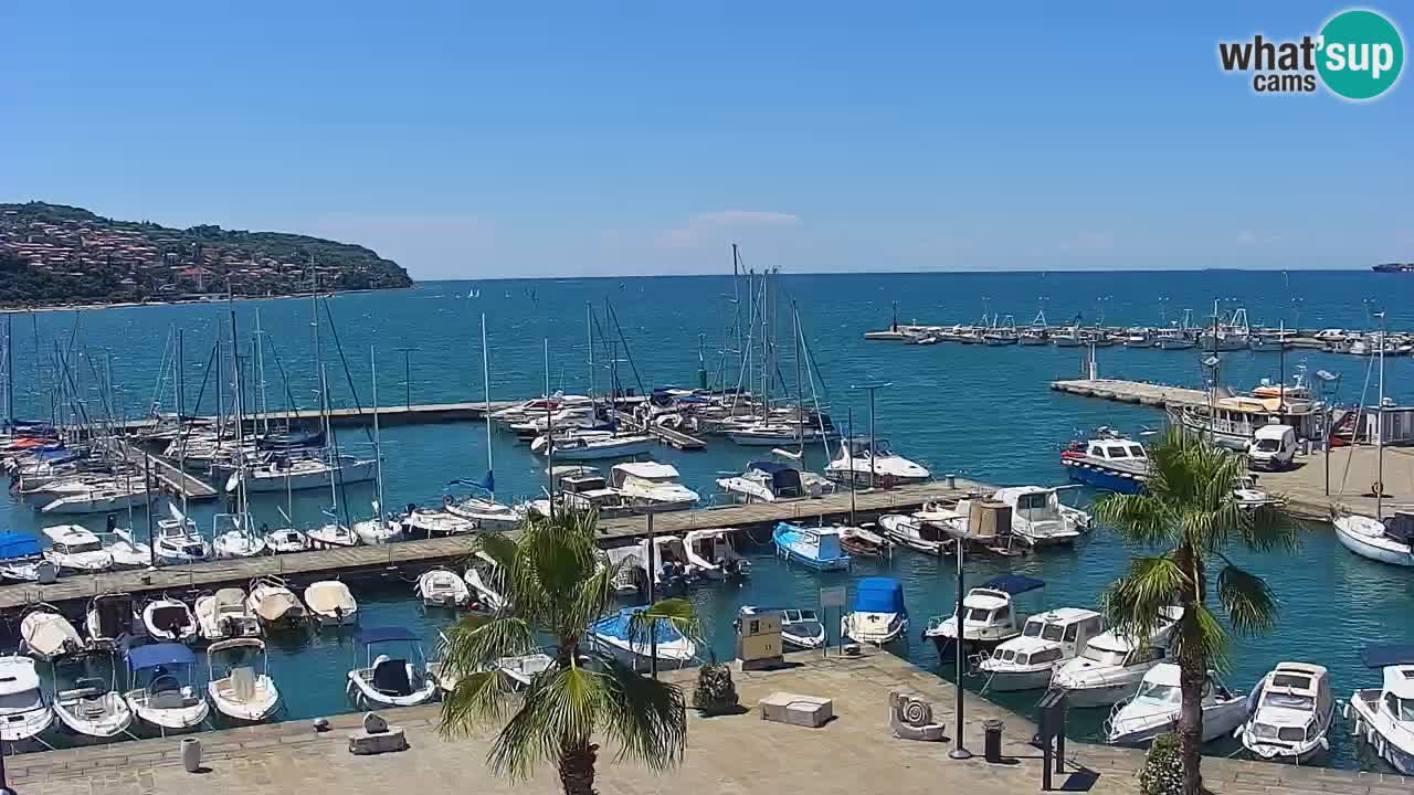 Il porto di Koper – Capodistria live webcam – porto crociere e mercantile – Slovenia