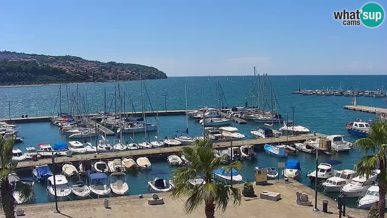 Web kamera Koper – marina i promenada – hotel Grand Koper