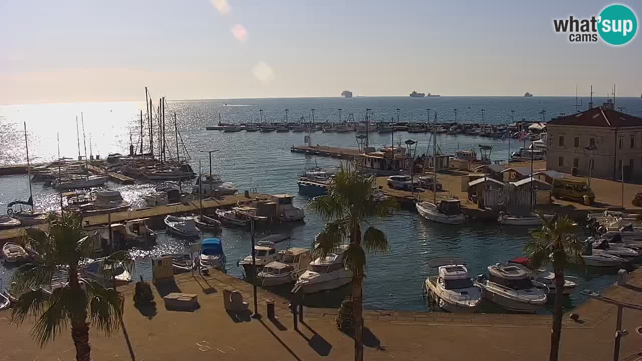 Webcam Capodistria – Piazza Ukmar