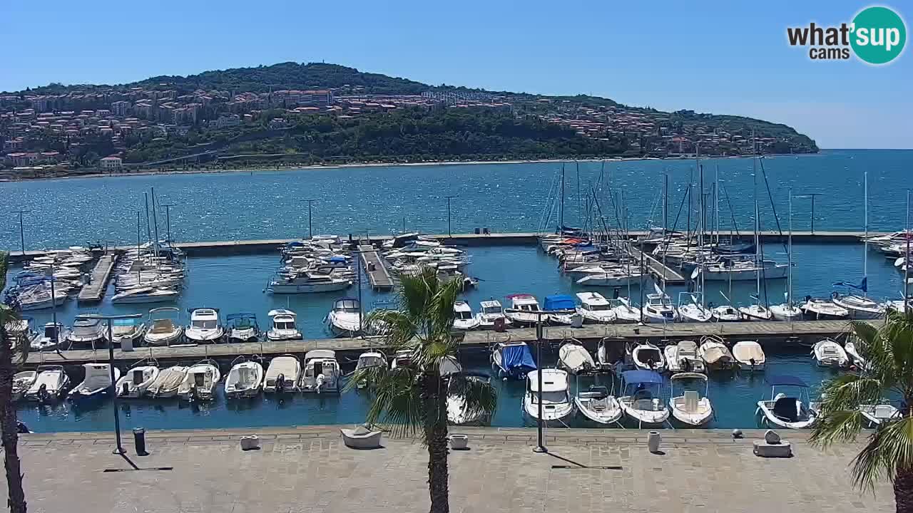 Webcam en vivo del Puerto de Koper – puerto de carga y cruceros – Eslovenia