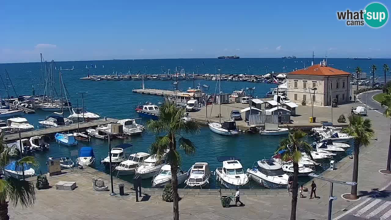 Live cam Koper – Ukmarjev trg
