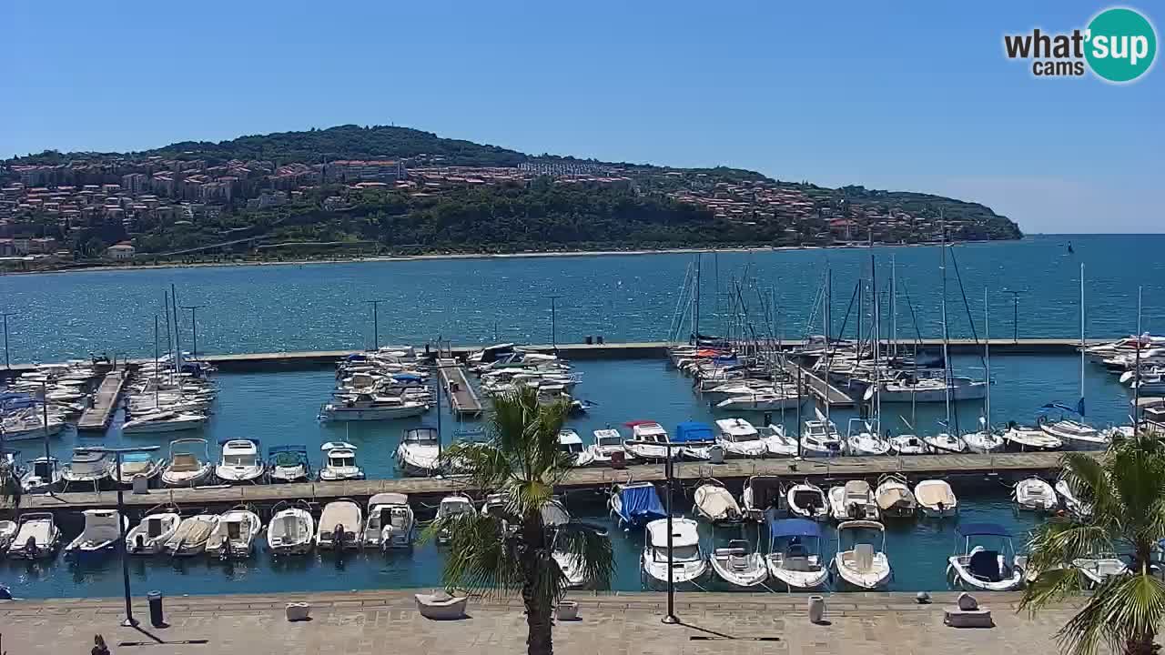 Webcam en direct du port de Koper – port de croisière et de fret – Slovénie