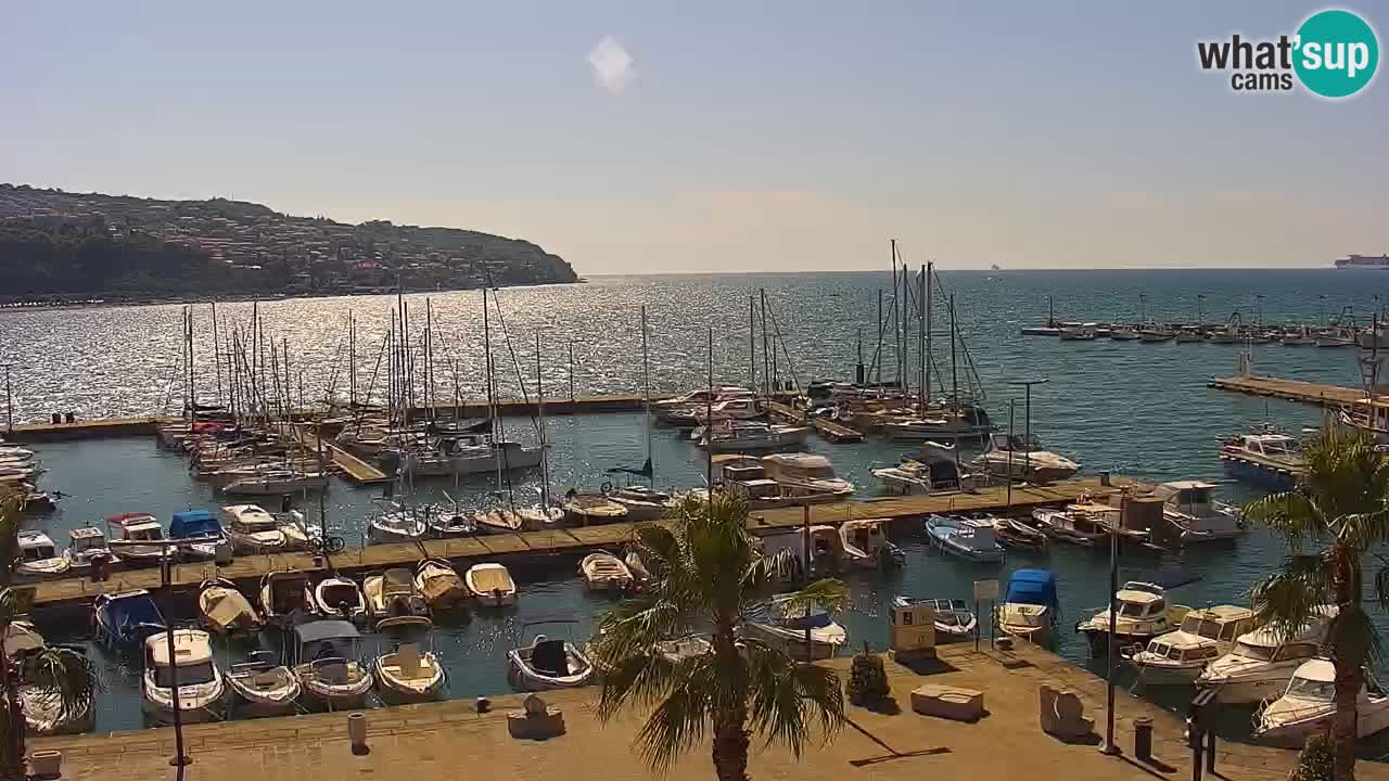 The Port of Koper live webcam – cruise and cargo port – Slovenia