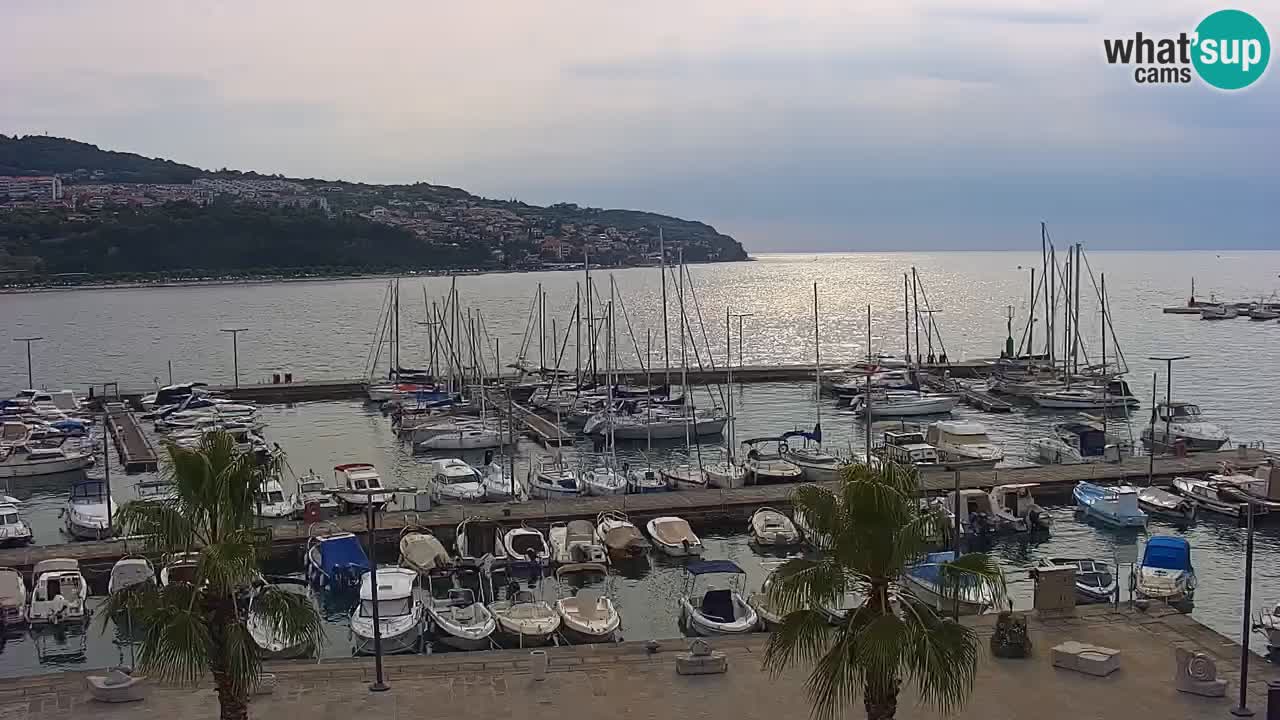 Il porto di Koper – Capodistria live webcam – porto crociere e mercantile – Slovenia