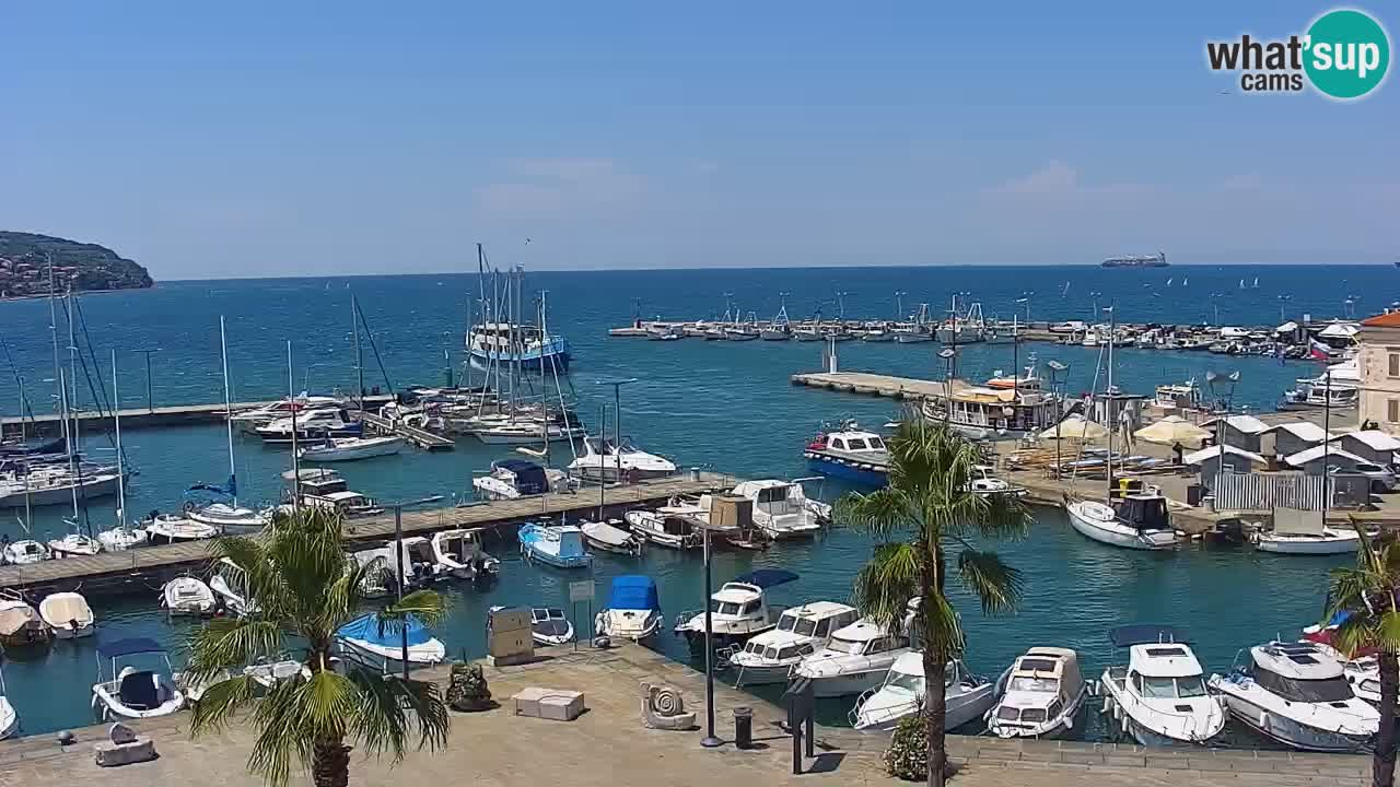 Web kamera Koper – marina i promenada – hotel Grand Koper