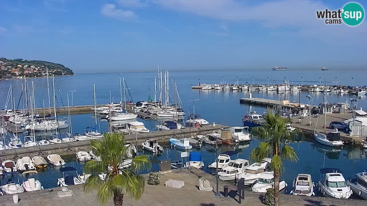 The Port of Koper live webcam – cruise and cargo port – Slovenia