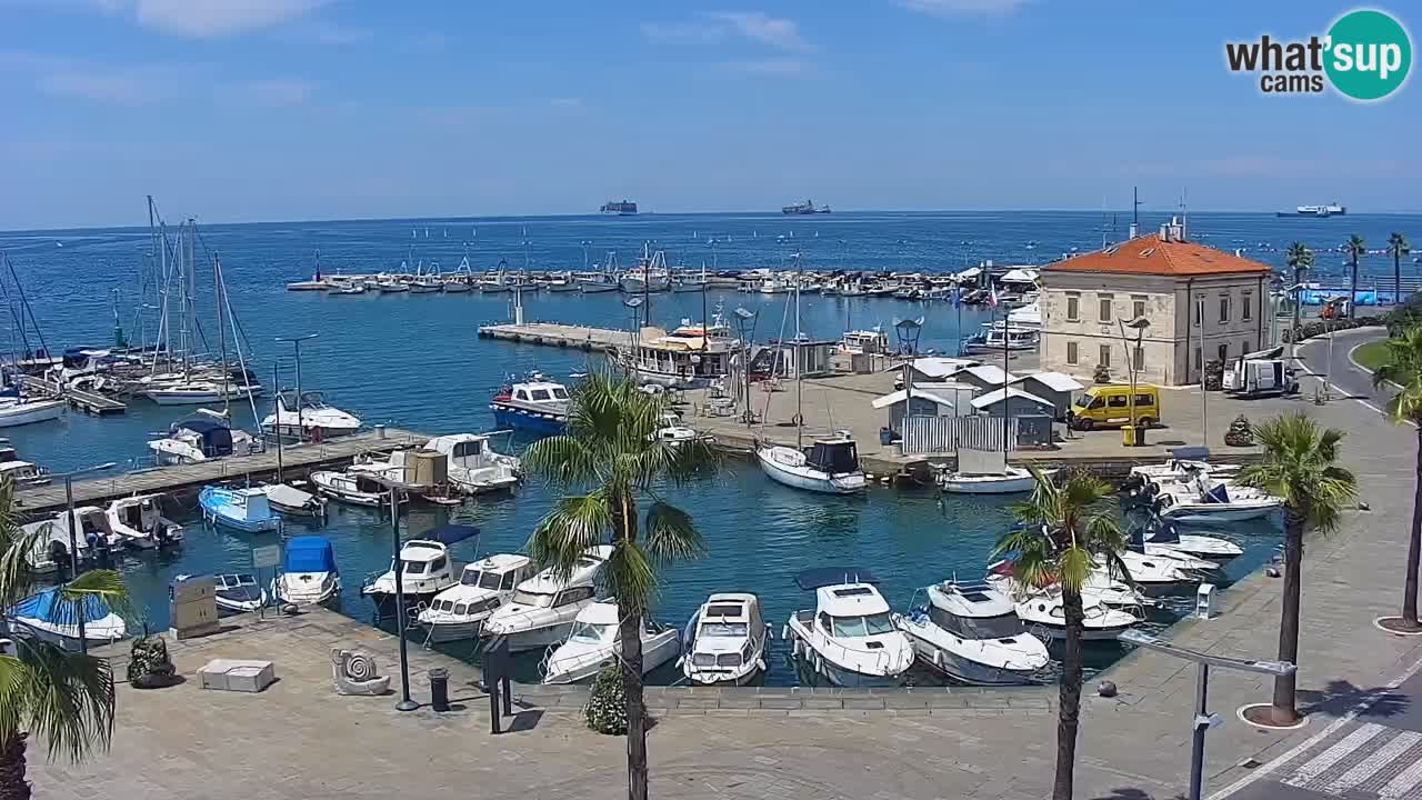 Spletna kamera Koper – Panorama na marino in promenado s Hotela Grand Koper