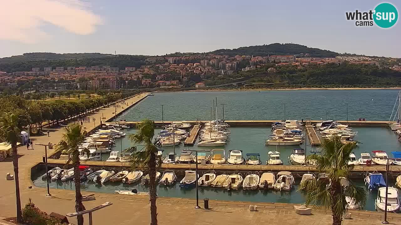Luka Kopar uživo web kamera – Turistički terminal i teretna luka – Slovenija