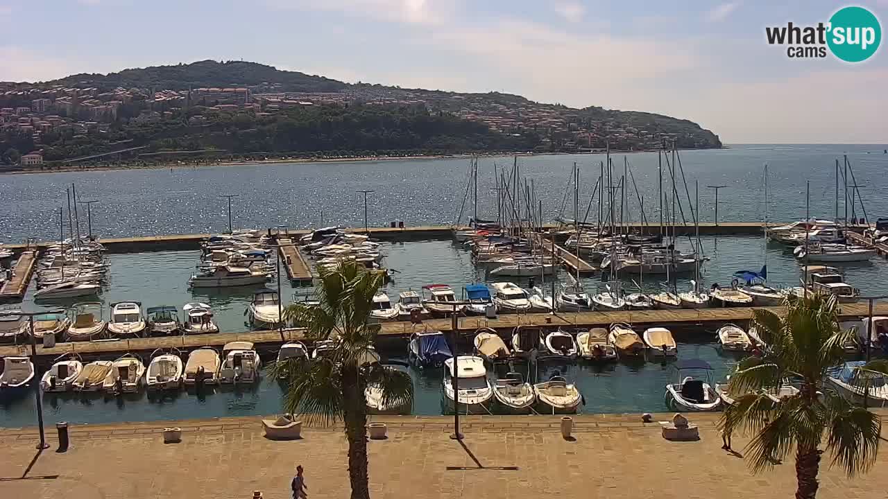 Camera en vivo Koper – puerto deportivo y paseo marítimo desde el Hotel Grand Koper