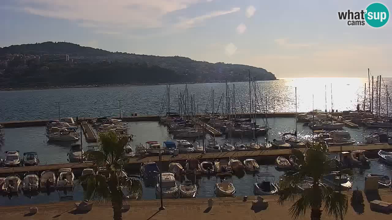 The Port of Koper live webcam – cruise and cargo port – Slovenia