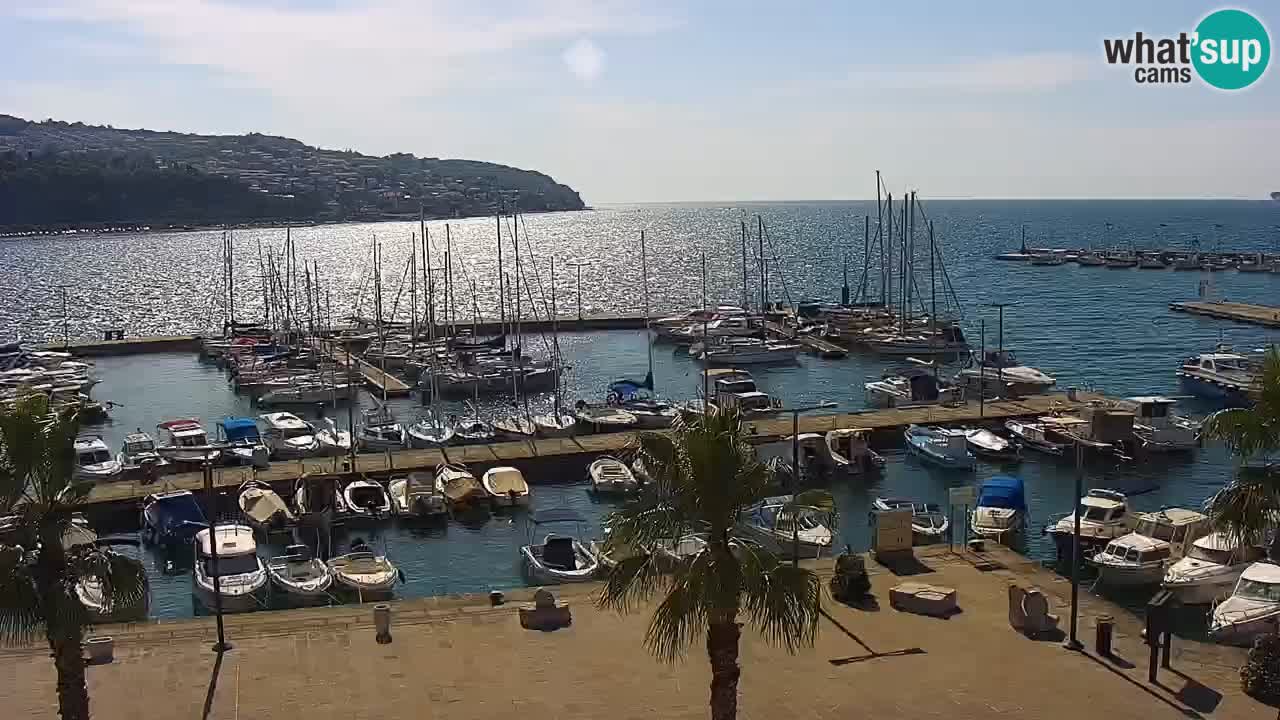 Webcam Koper – Panorama des Jachthafens und der Promenade vom Hotel Grand Koper