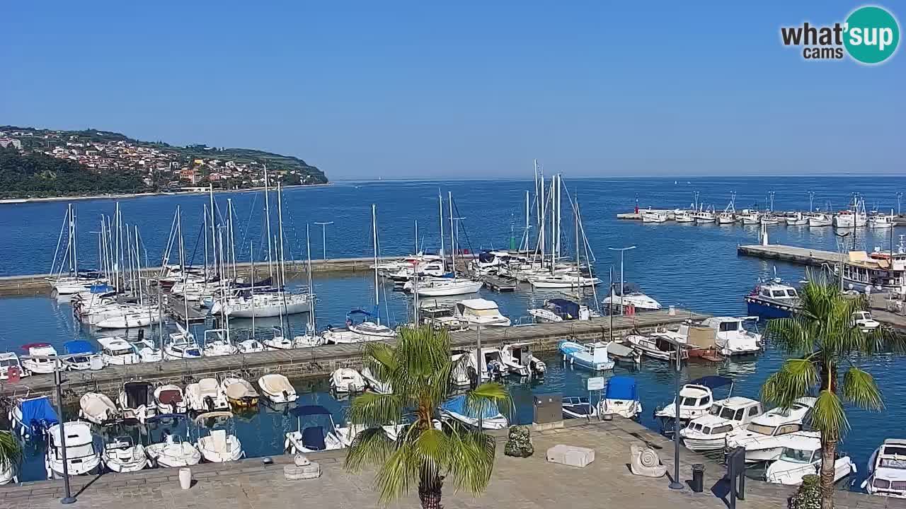 Web kamera Koper – marina i promenada – hotel Grand Koper