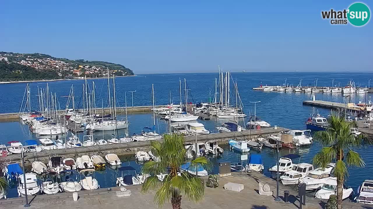 Spletna kamera Koper – Panorama na marino in promenado s Hotela Grand Koper