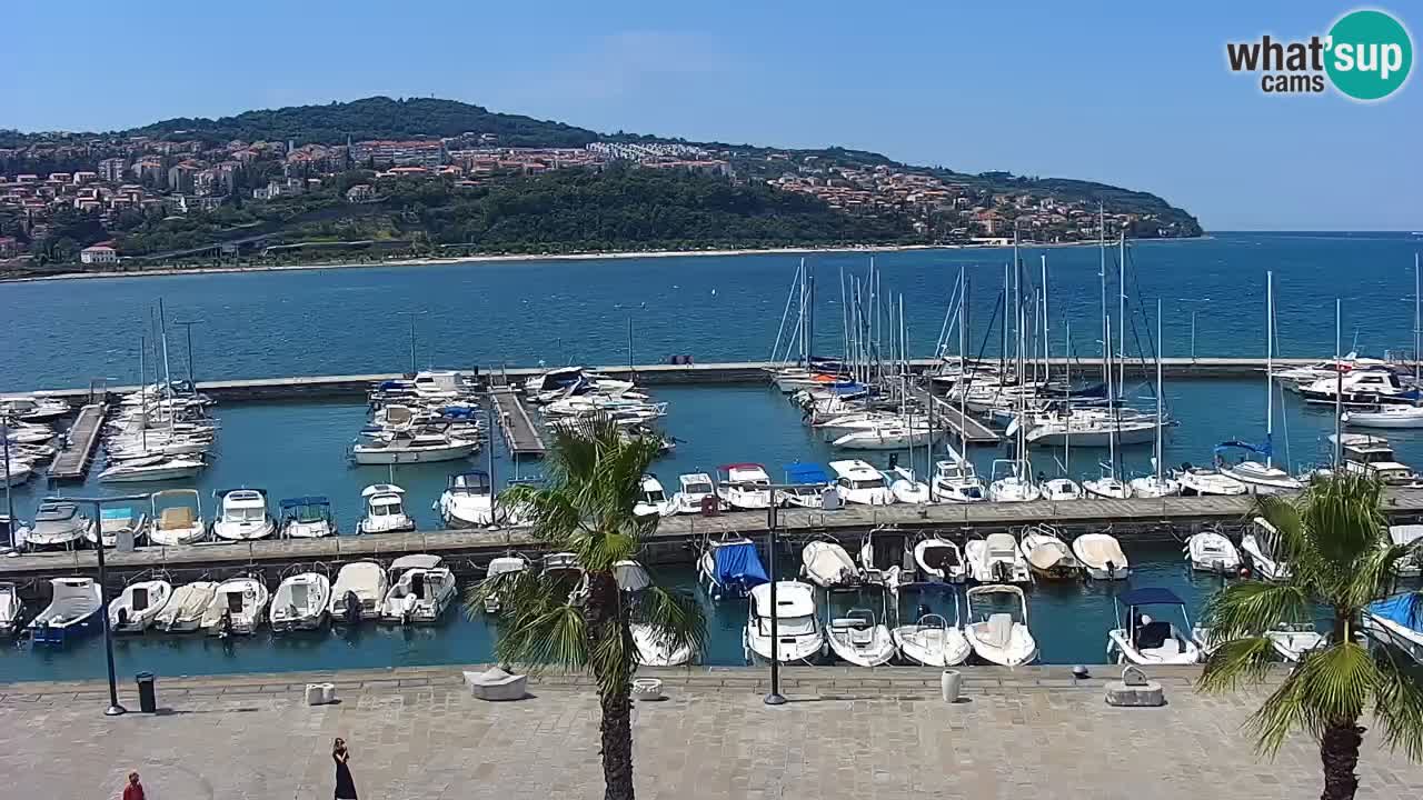 Spletna kamera Koper – Panorama na marino in promenado s Hotela Grand Koper
