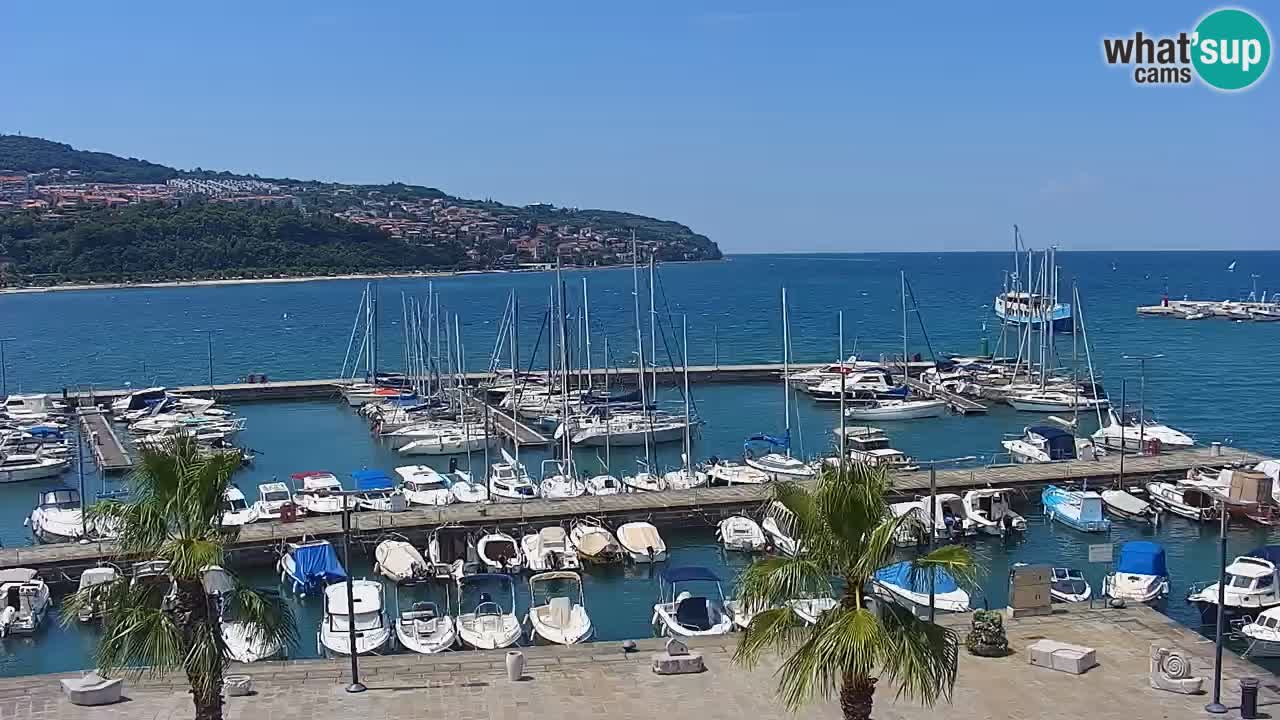 The Port of Koper live webcam – cruise and cargo port – Slovenia