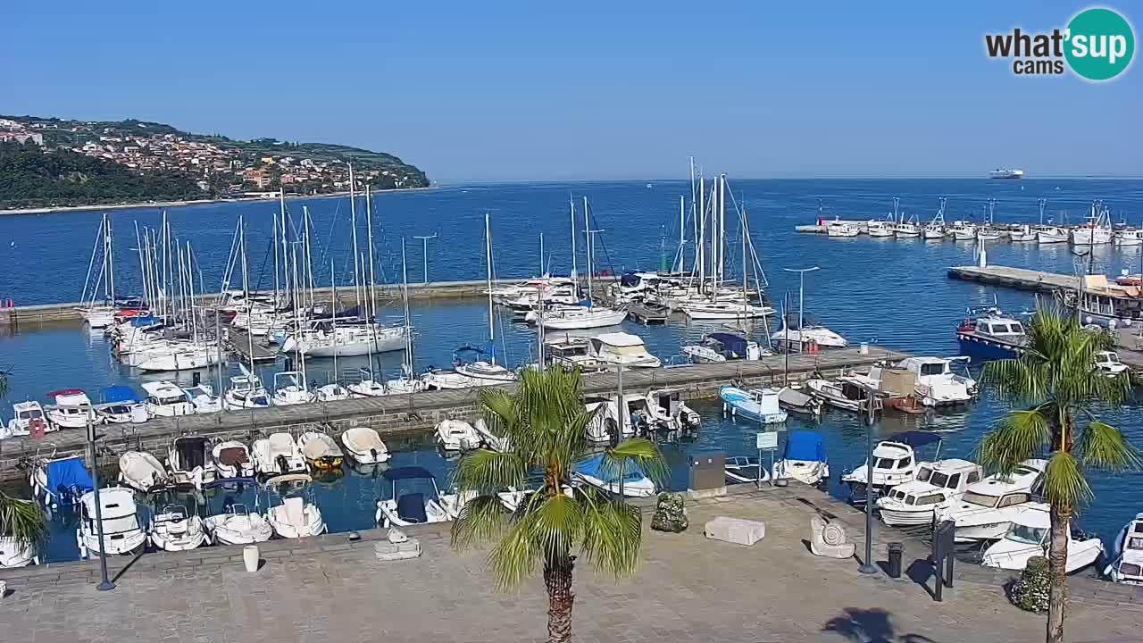 Der Hafen von Koper Live-Webcam – Kreuzfahrt- und Frachthafen – Slowenien