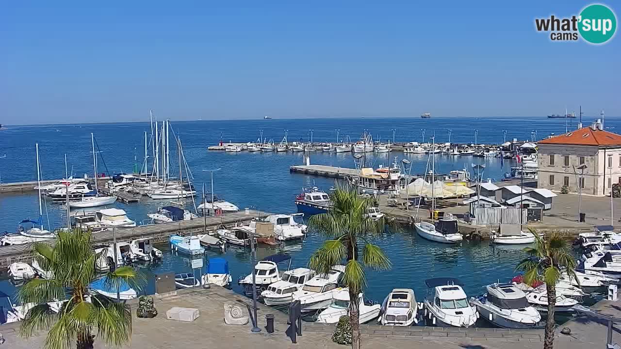 Webcam Capodistria – Piazza Ukmar