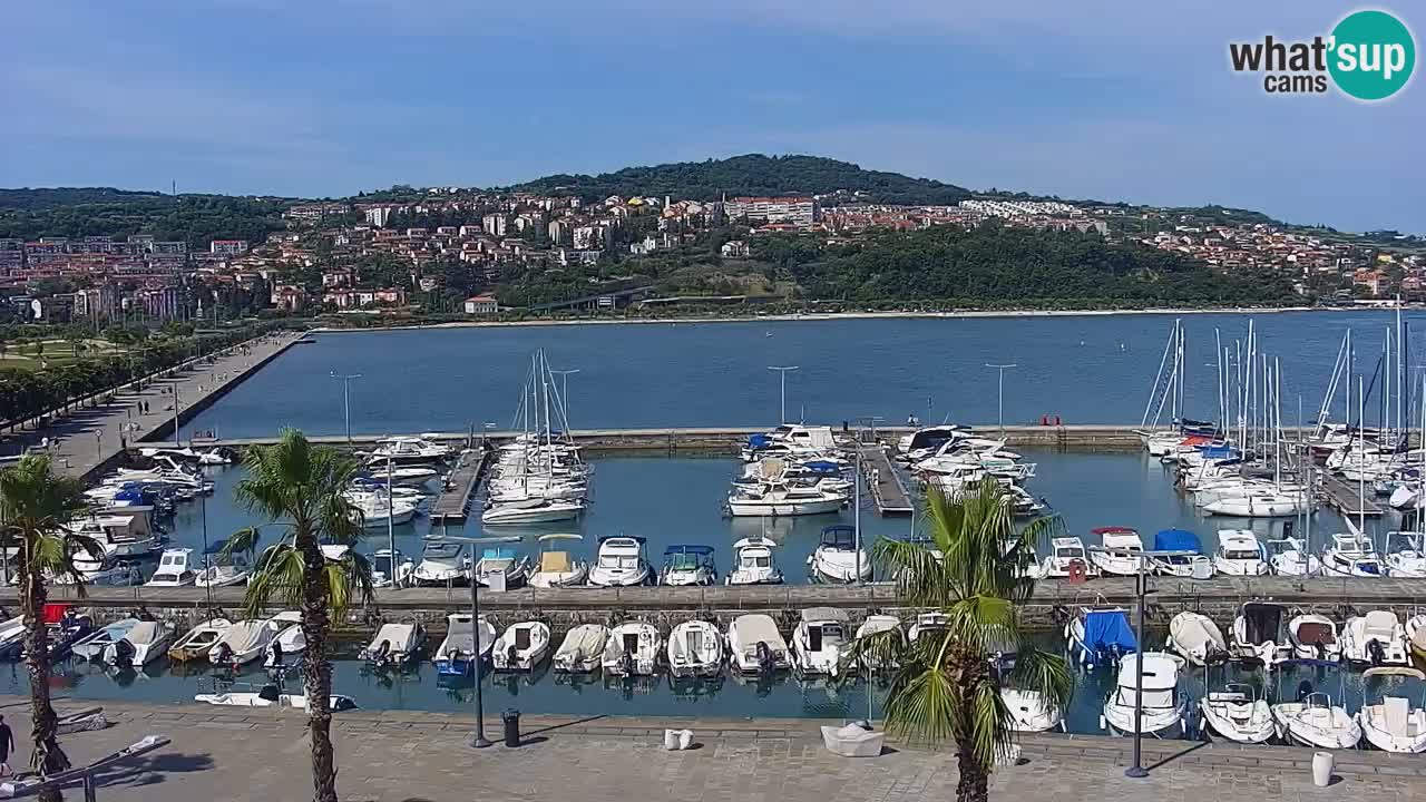 Webcam Koper – Panorama des Jachthafens und der Promenade vom Hotel Grand Koper