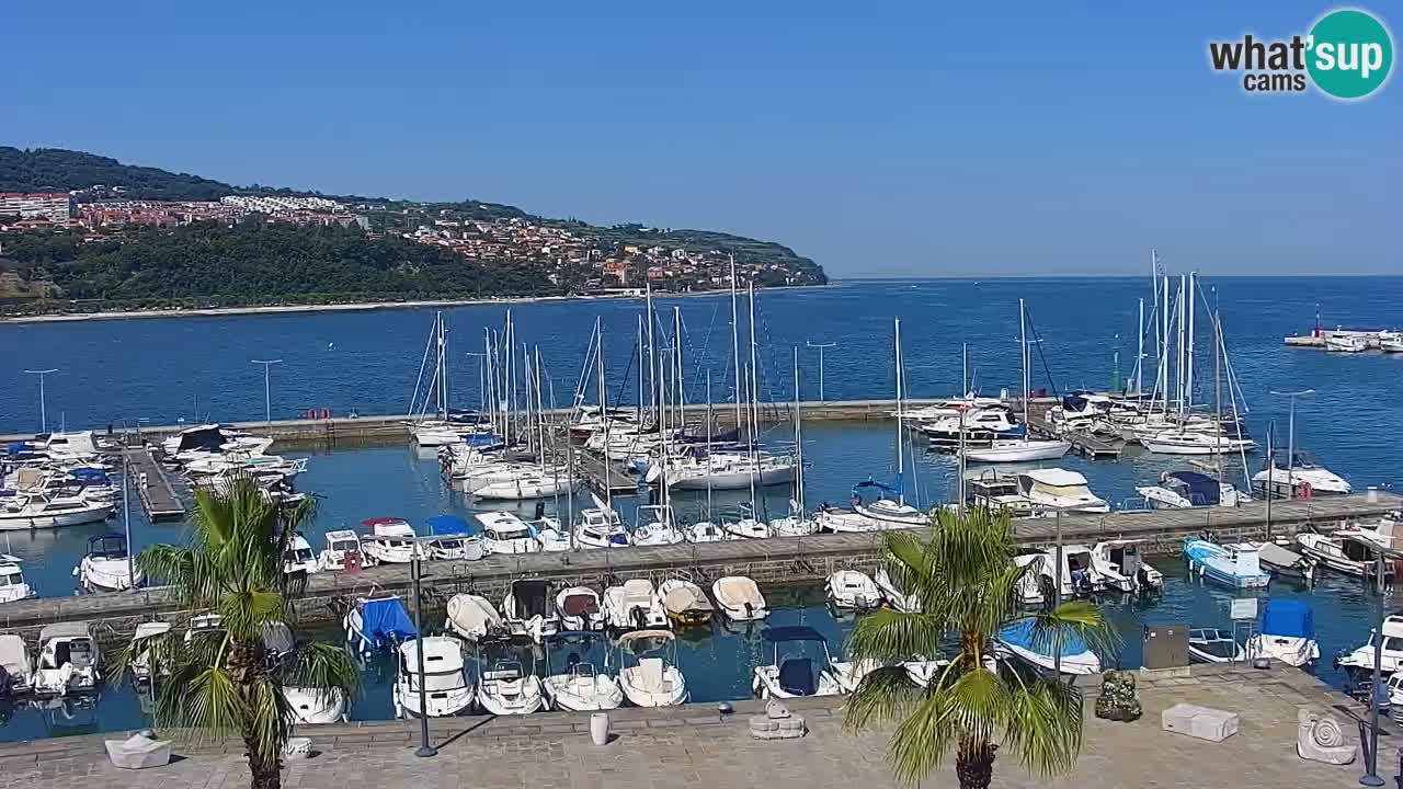Der Hafen von Koper Live-Webcam – Kreuzfahrt- und Frachthafen – Slowenien