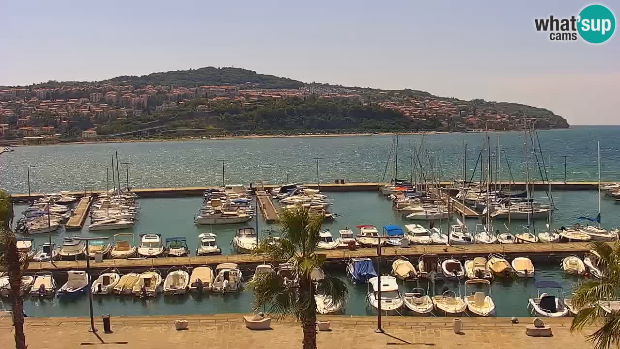 Webcam Koper – Panorama des Jachthafens und der Promenade vom Hotel Grand Koper