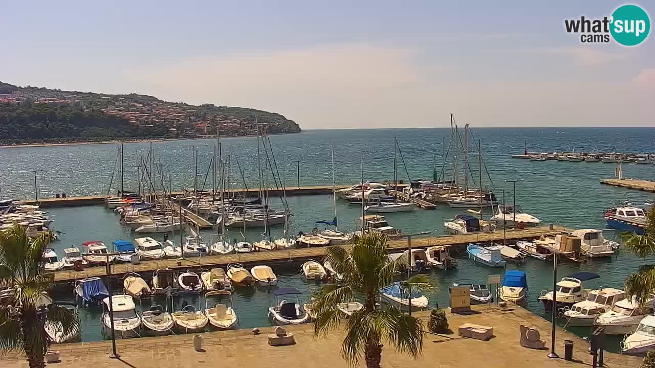 Webcam Koper – Panorama de la marina et de la promenade depuis le Grand Hotel Koper