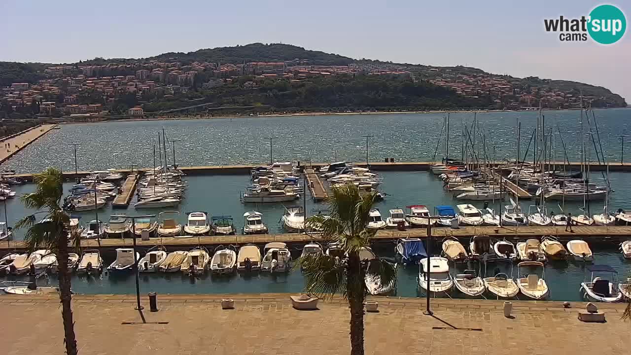 Webcam Koper – Panorama of the marina and promenade from the Grand Hotel Koper