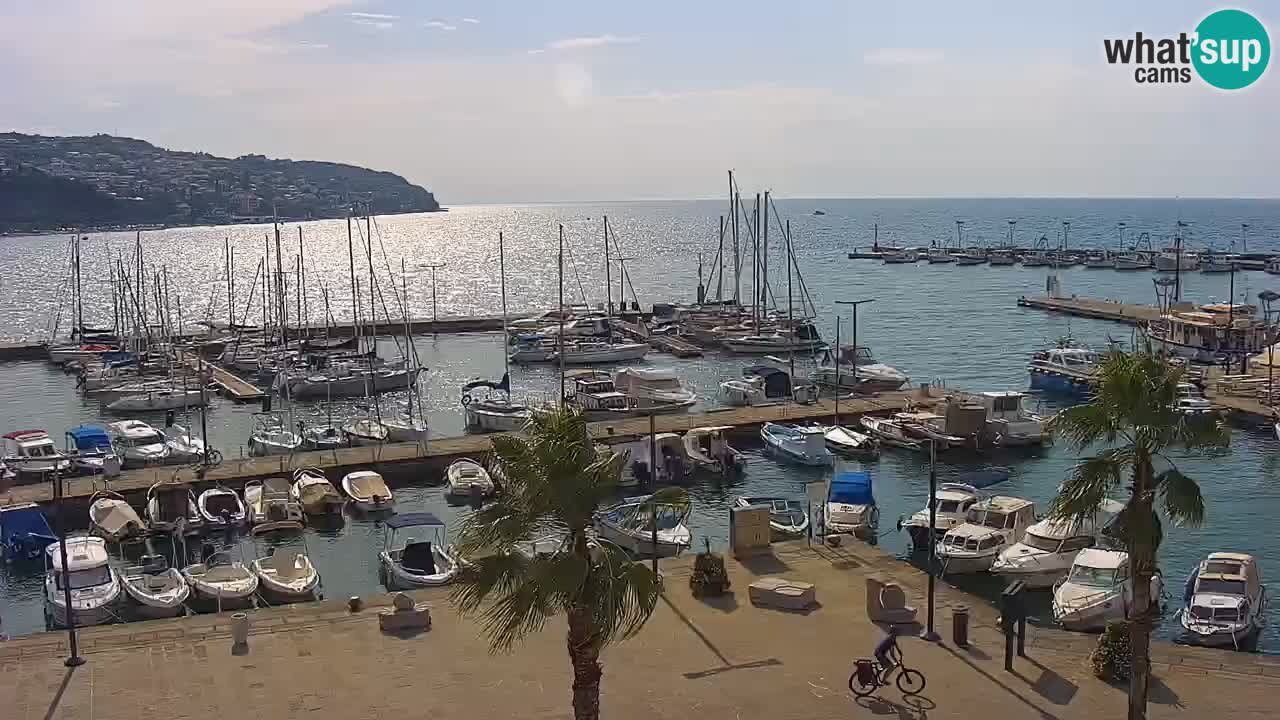 The Port of Koper live webcam – cruise and cargo port – Slovenia