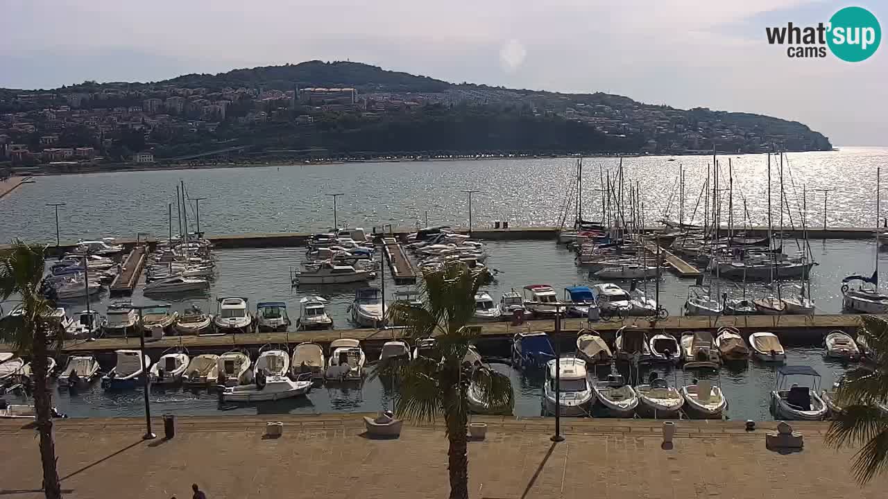 Webcam Koper – Panorama of the marina and promenade from the Grand Hotel Koper