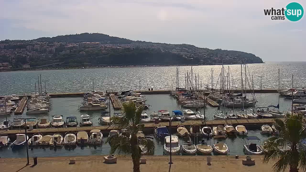 Il porto di Koper – Capodistria live webcam – porto crociere e mercantile – Slovenia