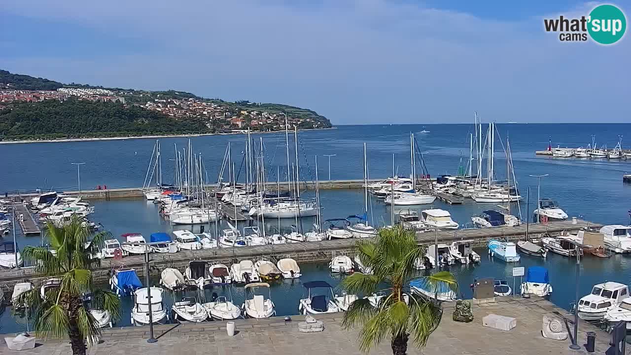 Camera en vivo Koper – puerto deportivo y paseo marítimo desde el Hotel Grand Koper