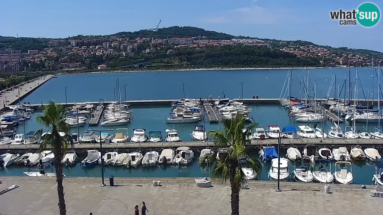 Livecam Koper – Ukmarjev trg