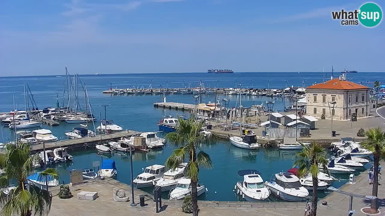 Webcam Koper – Ukmarjev trg