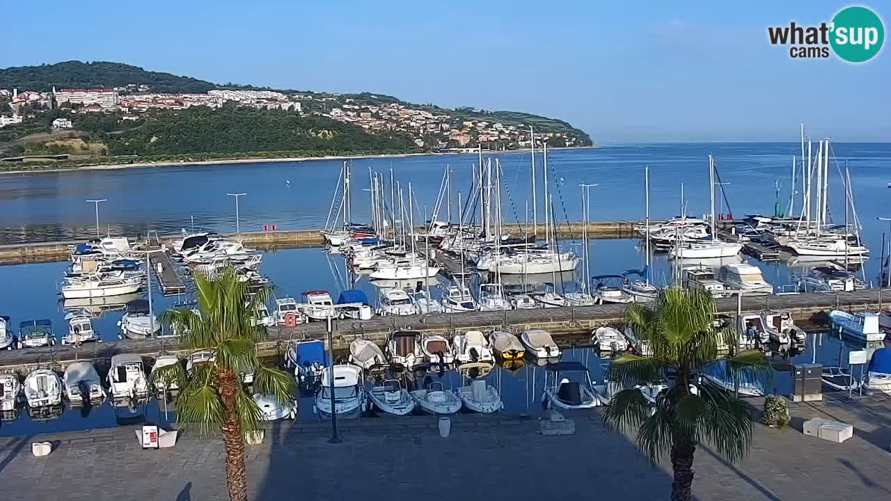 Web kamera Koper – marina i promenada – hotel Grand Koper