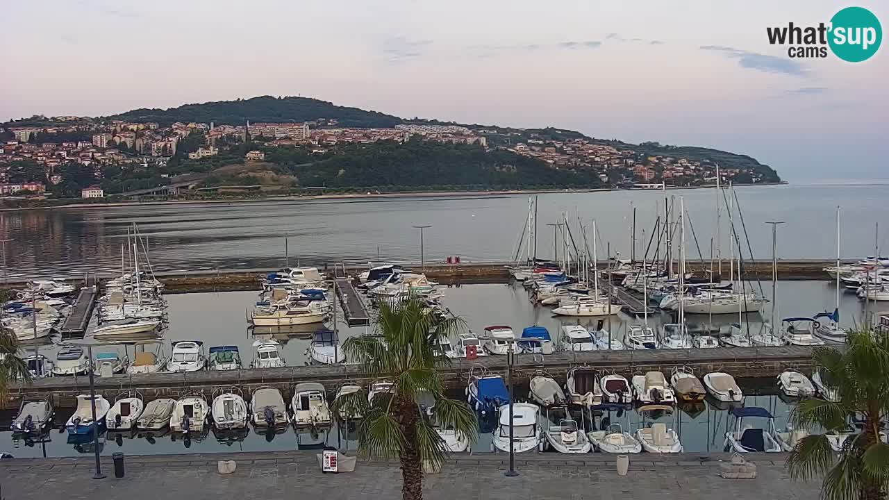 Live cam Koper – Ukmarjev trg