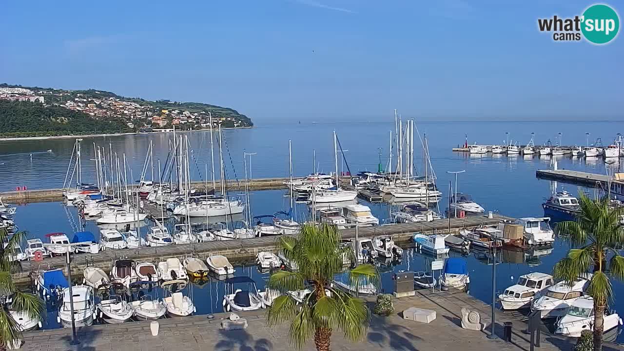 Webcam Koper – Panorama des Jachthafens und der Promenade vom Hotel Grand Koper