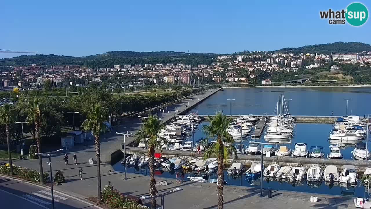 Livecam Koper – Ukmarjev trg